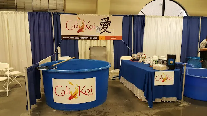 Cali Koi Picture 5
