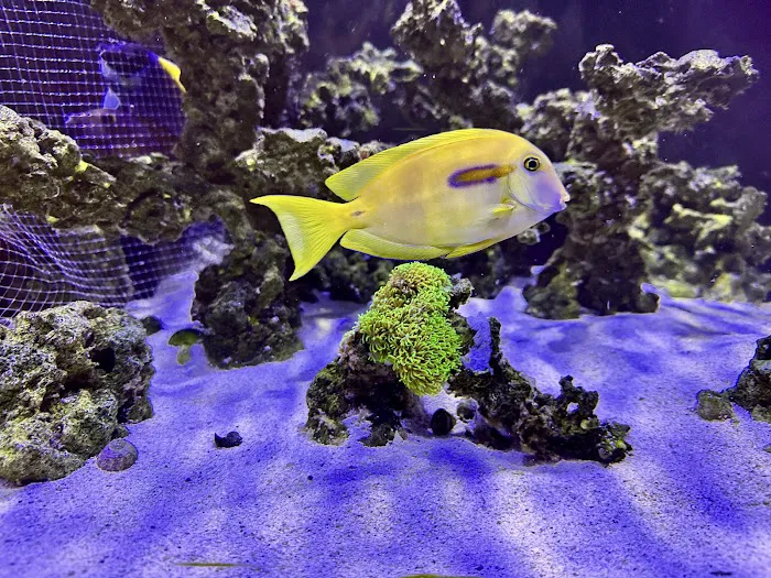 Aquarium Reefers Online Store Picture 3