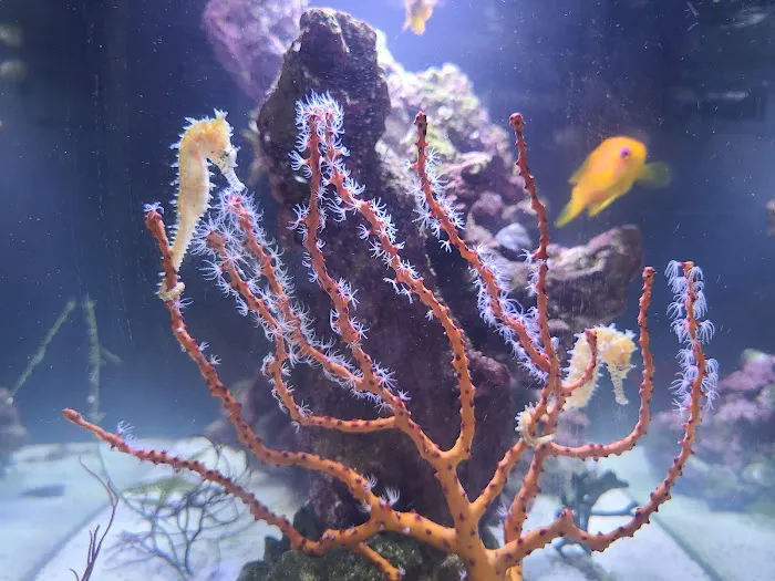 Aquarium Reefers Online Store Picture 6