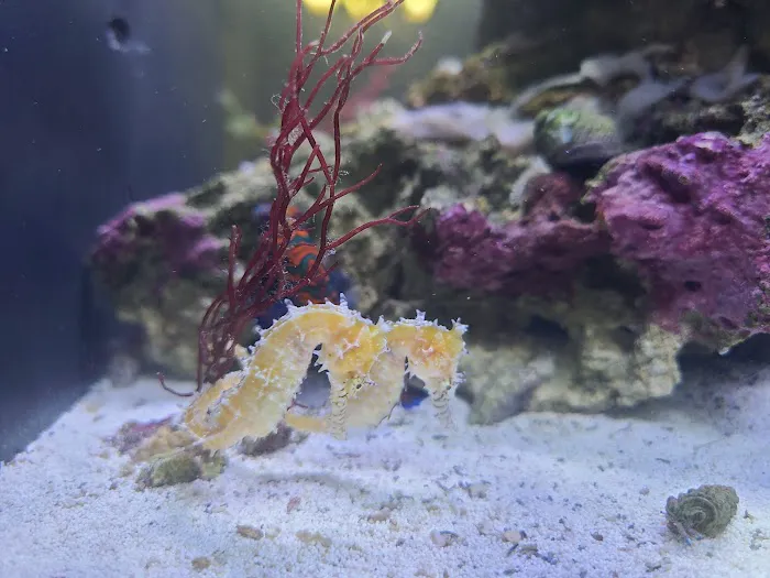 Aquarium Reefers Online Store Picture 5
