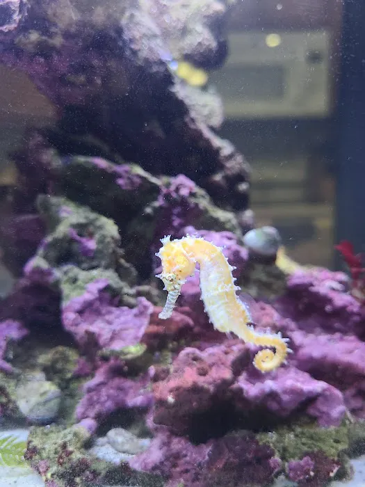 Aquarium Reefers Online Store Picture 8