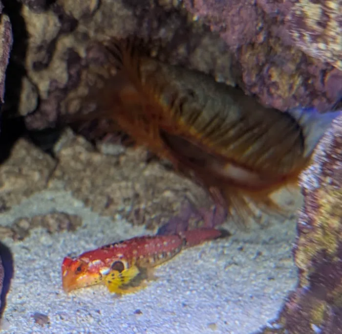 Aquarium Reefers Online Store Picture 10
