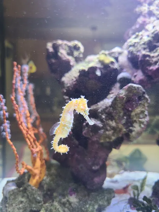 Aquarium Reefers Online Store Picture 9