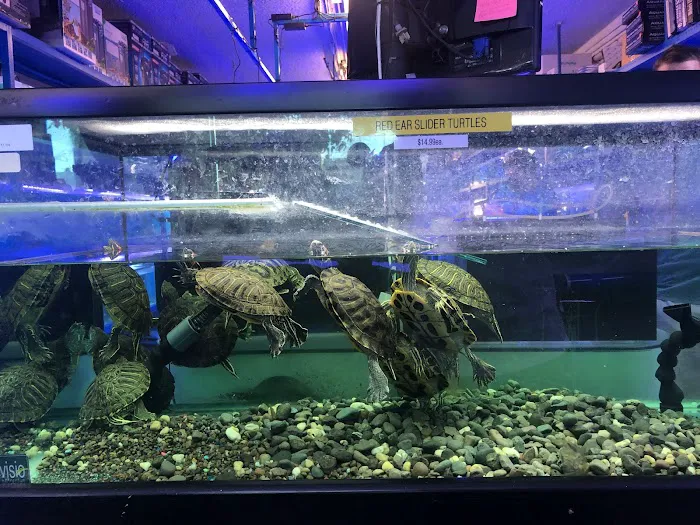 Rainbow Aquarium and Pond Picture 7