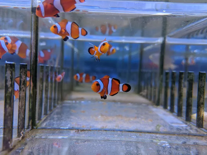 Rainbow Aquarium and Pond Picture 1