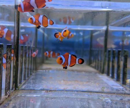 Rainbow Aquarium and Pond
