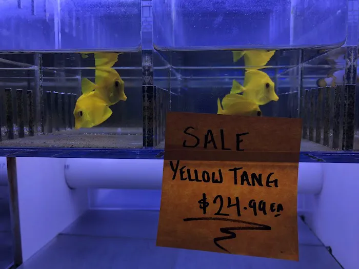 Rainbow Aquarium and Pond Picture 2