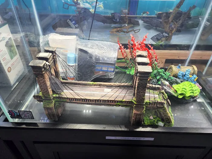 Rainbow Aquarium and Pond Picture 10