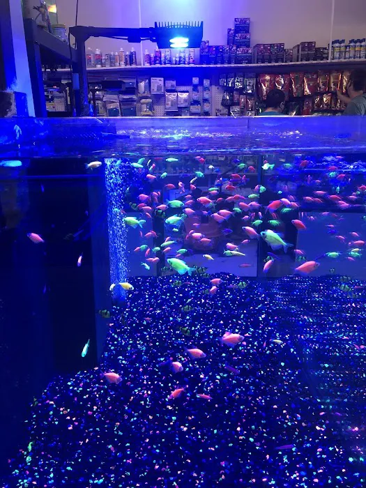Rainbow Aquarium and Pond Picture 4