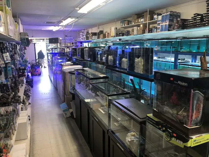 Rainbow Aquarium and Pond Picture 6