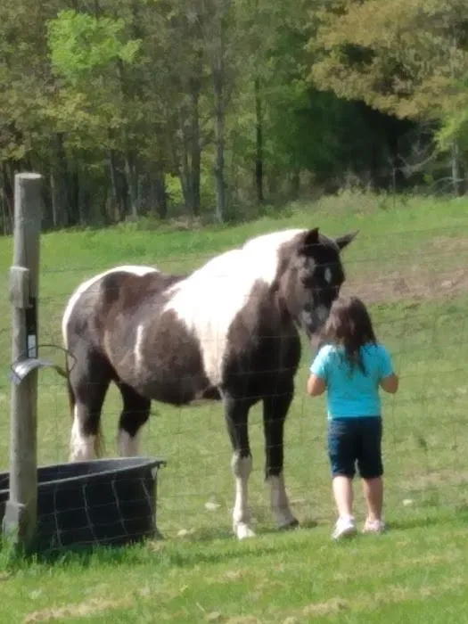 Dutton Veterinary Services PLLC Picture 6
