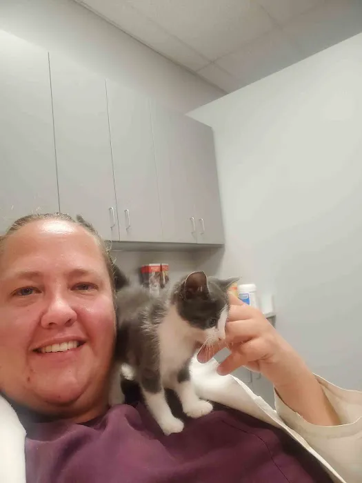 Dutton Veterinary Services PLLC Picture 3