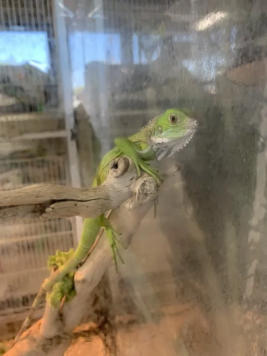 Pet Shop Picture 1