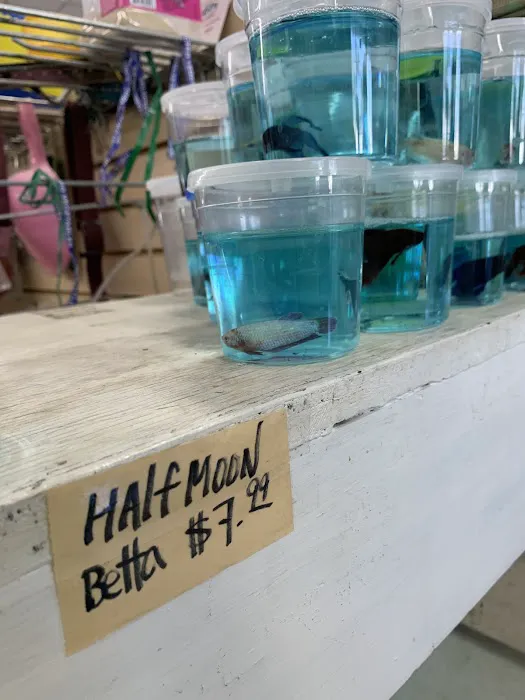 Pet Shop Picture 4
