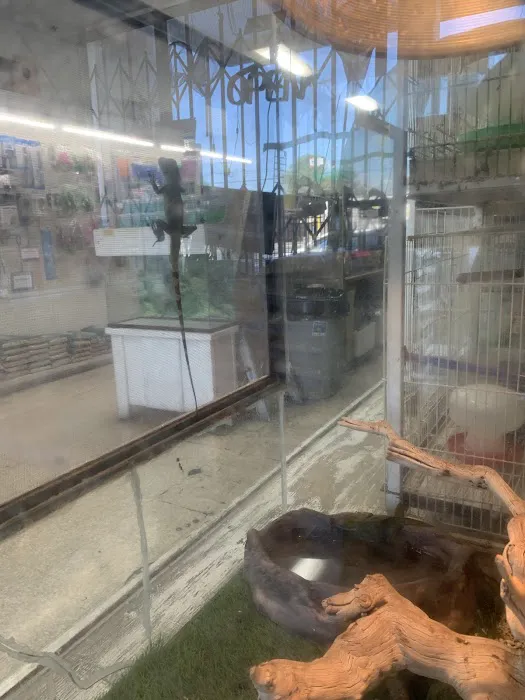 Pet Shop Picture 3