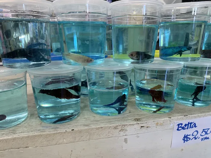Pet Shop Picture 2