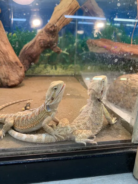 Pet Shop Picture 5