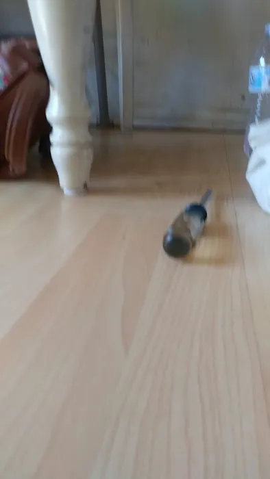 Little Island Pet Store Picture 2