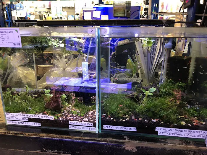 Underwater Depot Picture 9