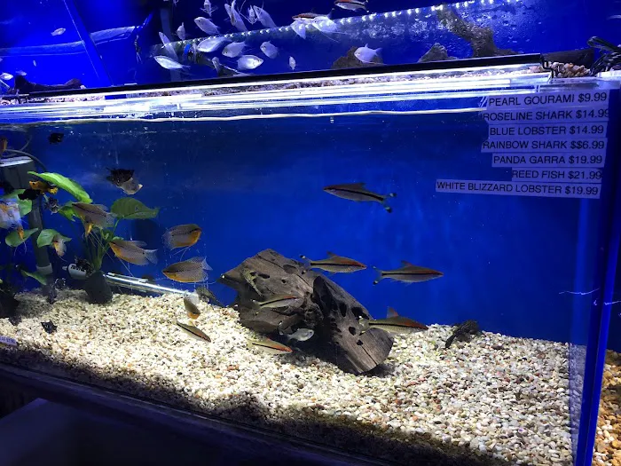 Underwater Depot Picture 8