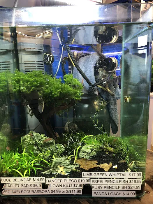 Underwater Depot Picture 2