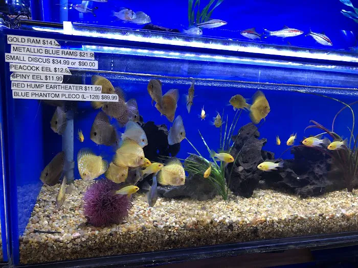 Underwater Depot Picture 4