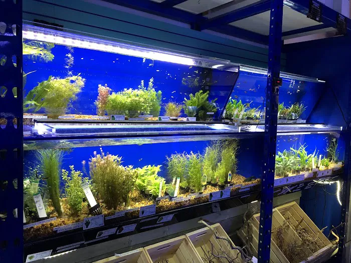 Underwater Depot Picture 3