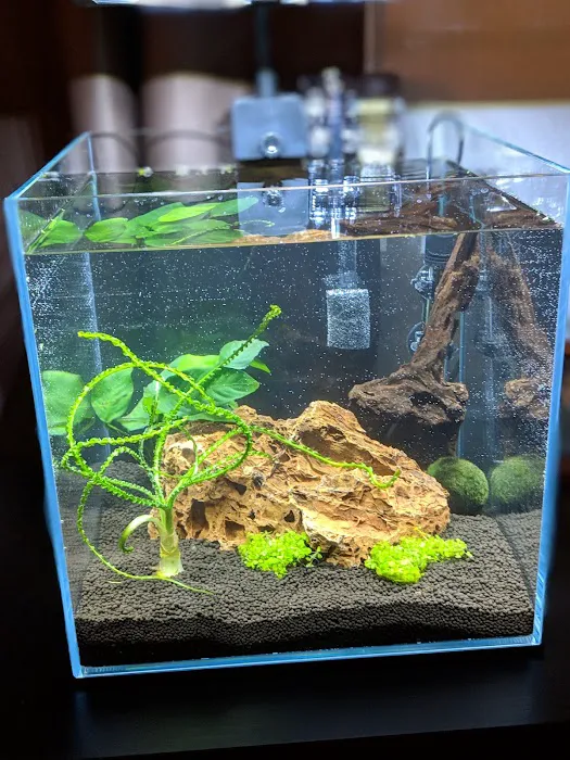 Underwater Depot Picture 10