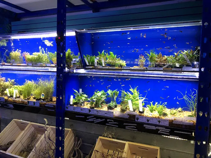 Underwater Depot Picture 6