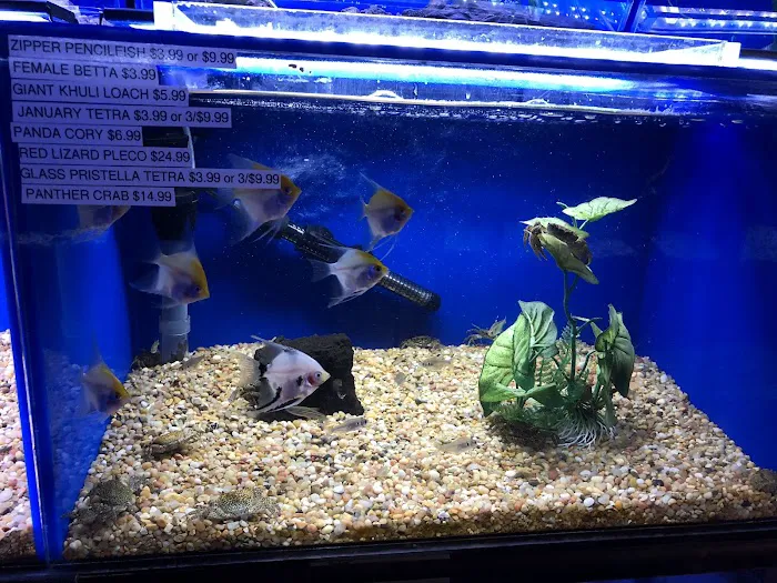 Underwater Depot Picture 7