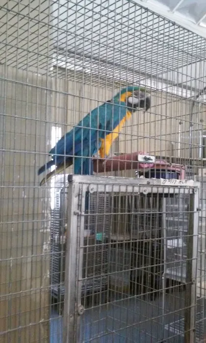 Birds Plus Picture 10