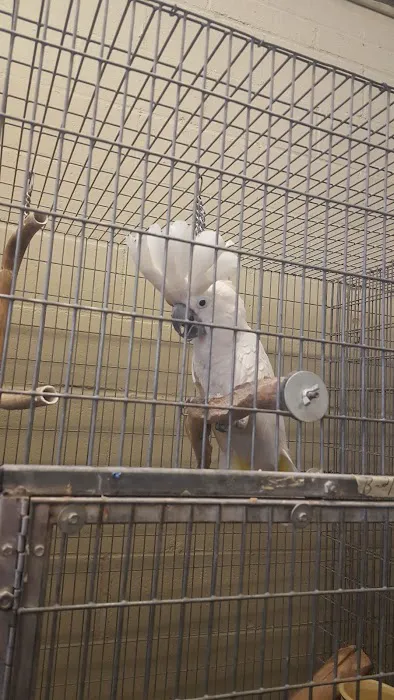 Birds Plus Picture 1