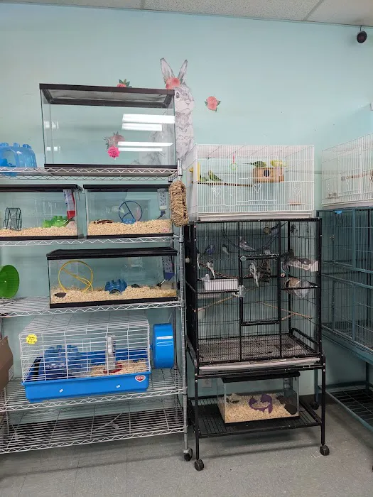 The Pet Stop Picture 4