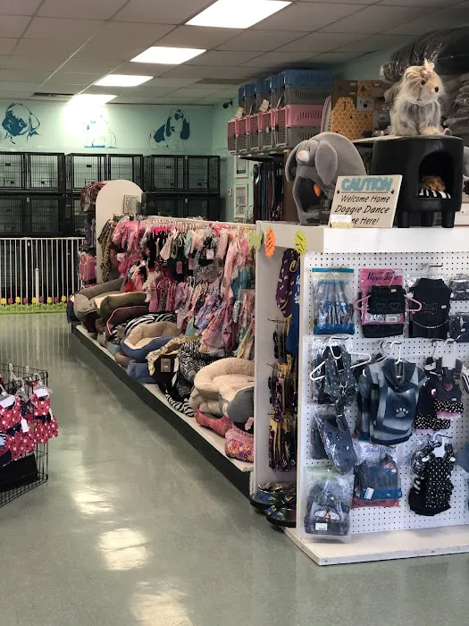 The Pet Stop Picture 8
