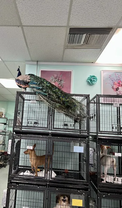 The Pet Stop Picture 6