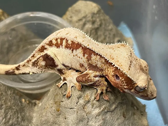 Ontario Pets & Supplies Picture 9