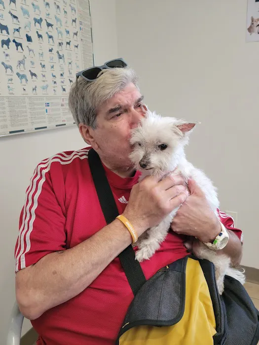 Rye Harrison Veterinary Hospital Picture 3