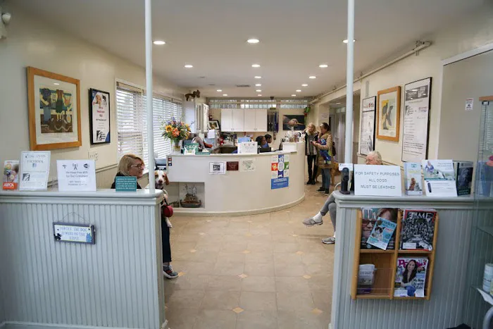Rye Harrison Veterinary Hospital Picture 7