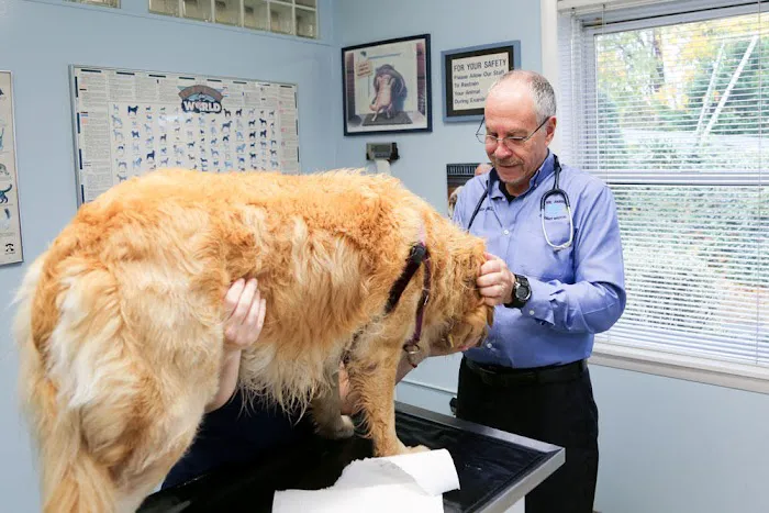 Rye Harrison Veterinary Hospital Picture 3