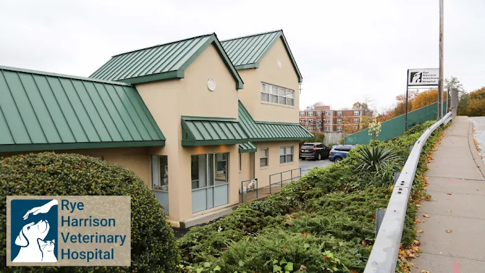 Rye Harrison Veterinary Hospital Picture 9
