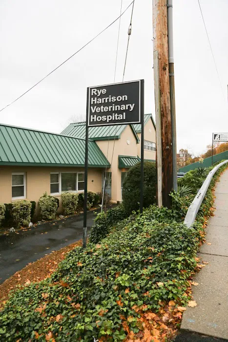 Rye Harrison Veterinary Hospital Picture 6