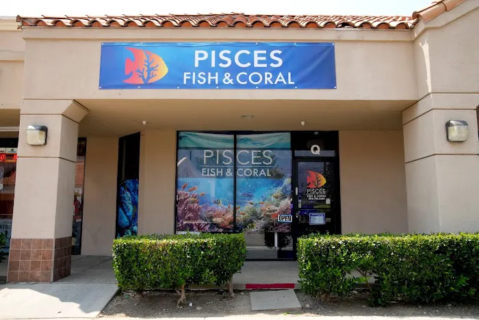 Pisces Fish and Coral Picture 1