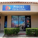 Pisces Fish and Coral