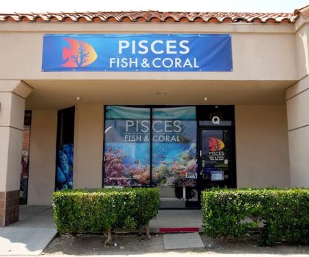Pisces Fish and Coral