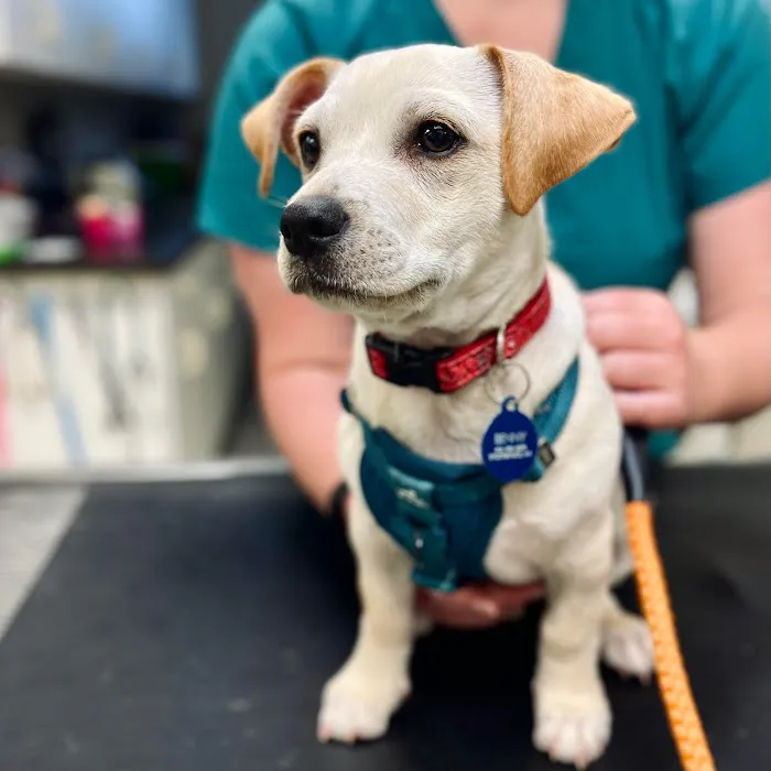 Bilmar Veterinary Services Picture 10