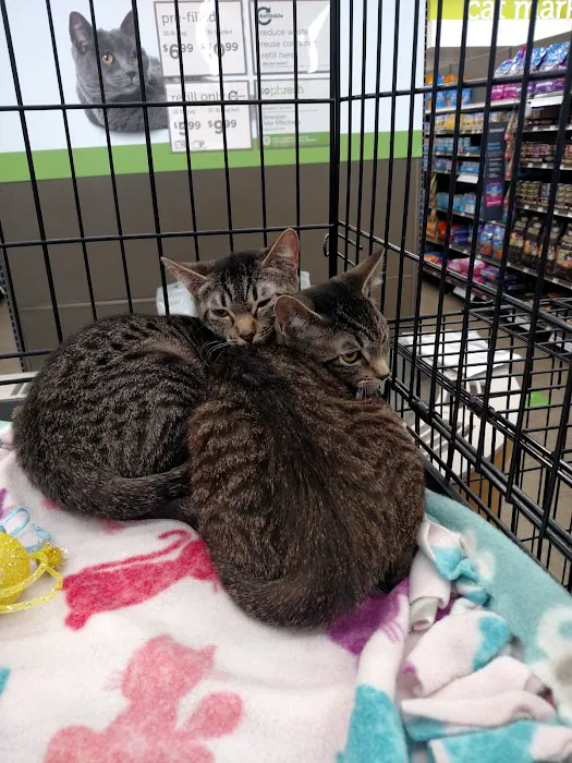 Petco Picture 6