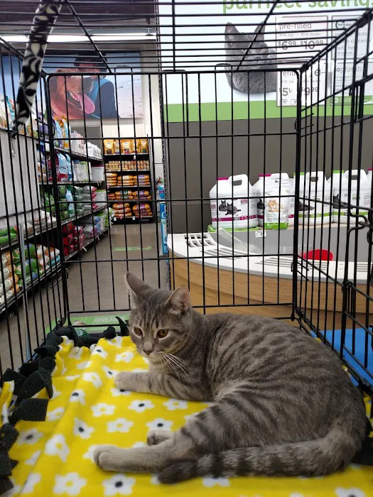 Petco Picture 2