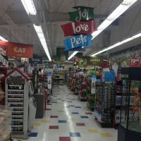Petco ico