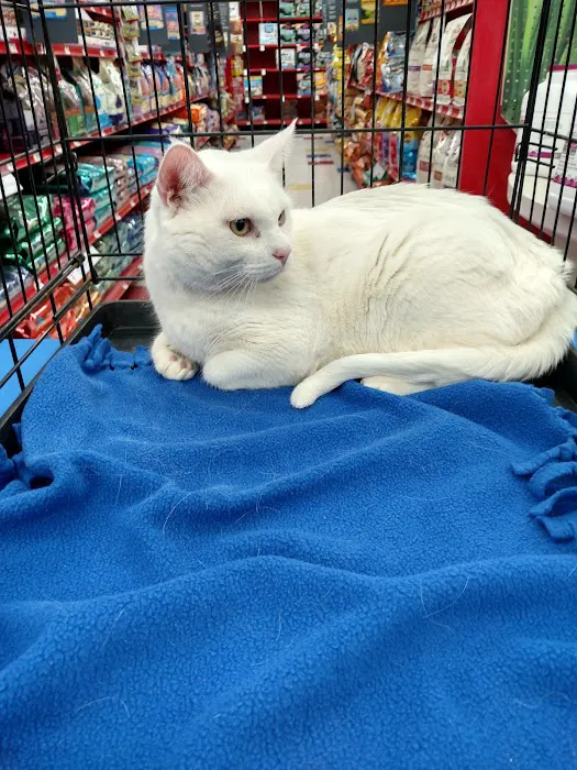 Petco Picture 3