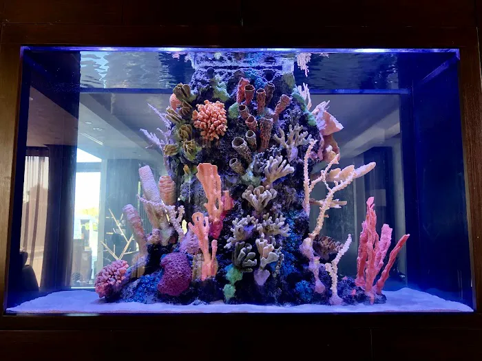 Reef Creations Picture 7
